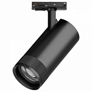 Светильник на штанге Lightstar Canno Pro C4307SS 500_191_3096864